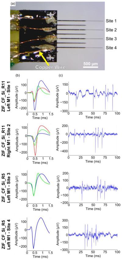 Figure 12