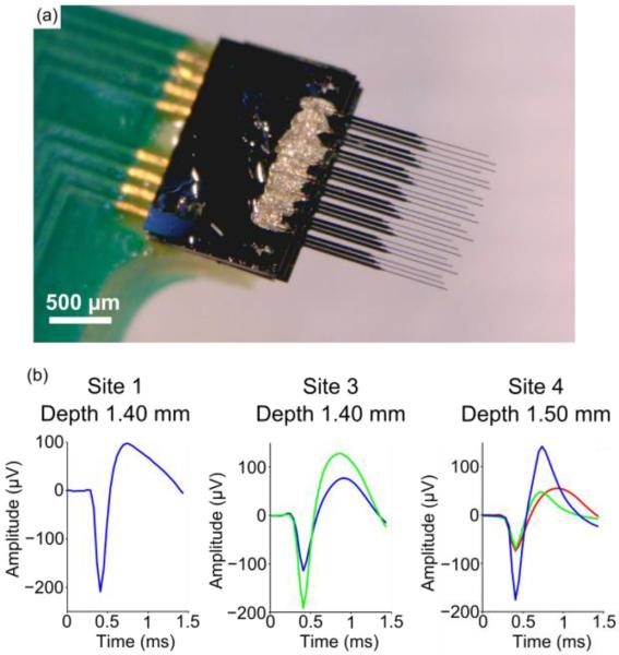 Figure 13