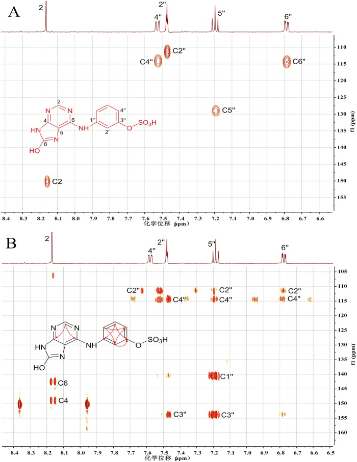 Fig 5