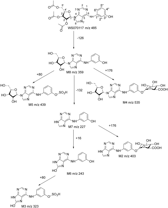 Fig 6