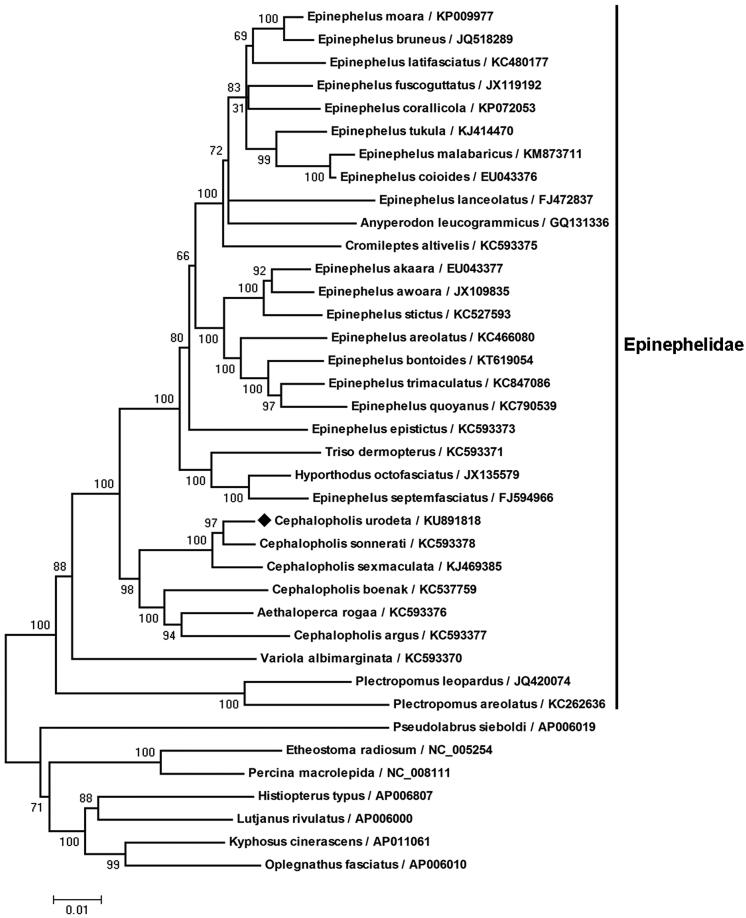 Figure 1.