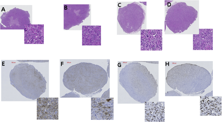 Fig. 6