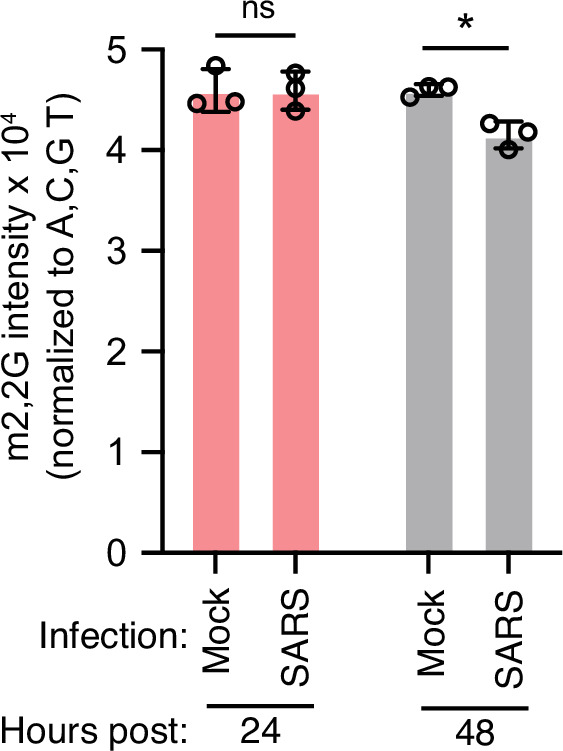 Figure 1—figure supplement 1.