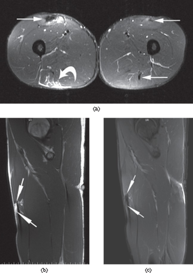 Figure 24