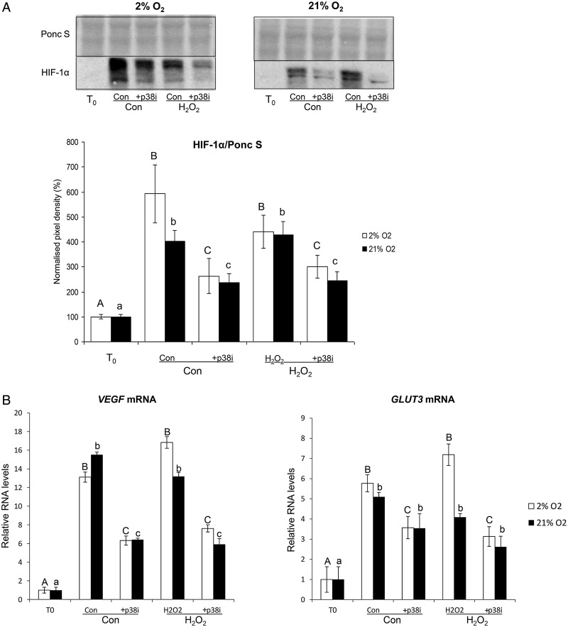 Figure 6