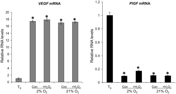 Figure 5