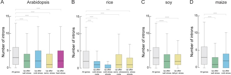 Figure 2—figure supplement 2.