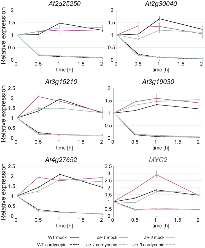 Figure 3—figure supplement 2.