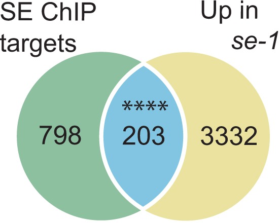 Figure 4—figure supplement 2.