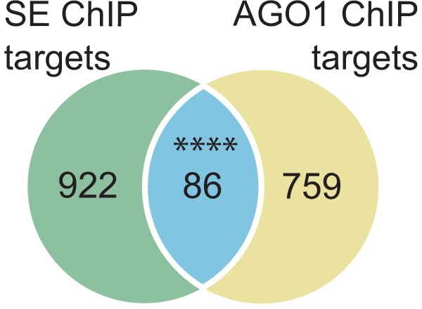 Figure 4—figure supplement 1.