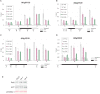 Figure 3—figure supplement 1.