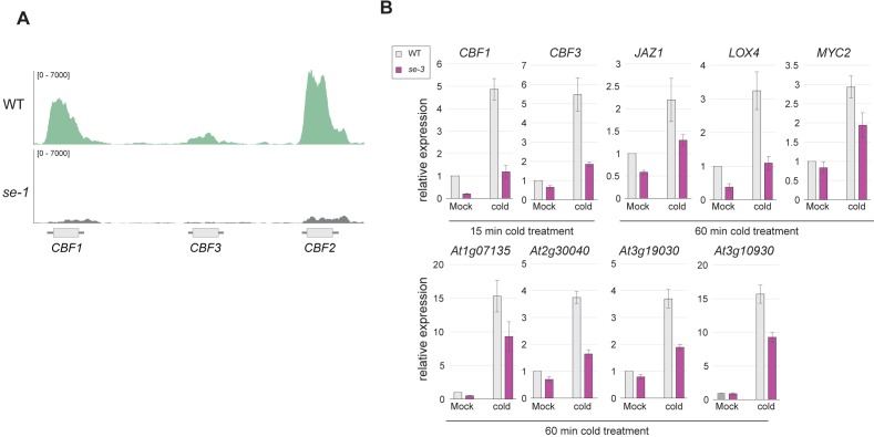 Figure 2—figure supplement 3.