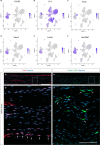 Figure 1—figure supplement 2.