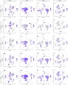 Figure 5—figure supplement 1.