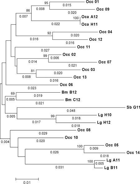 FIG. 1.