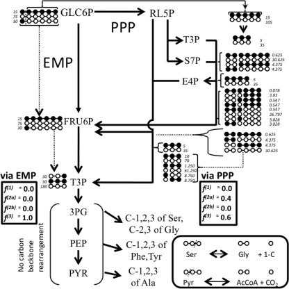 FIGURE 4.