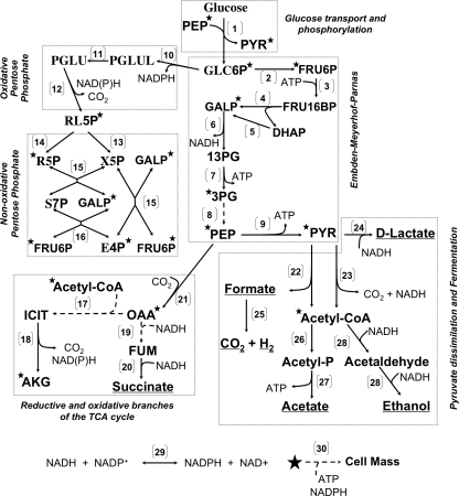 FIGURE 1.