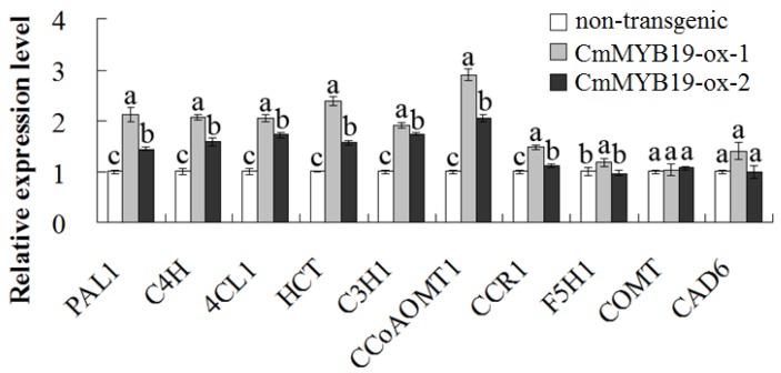 Figure 9