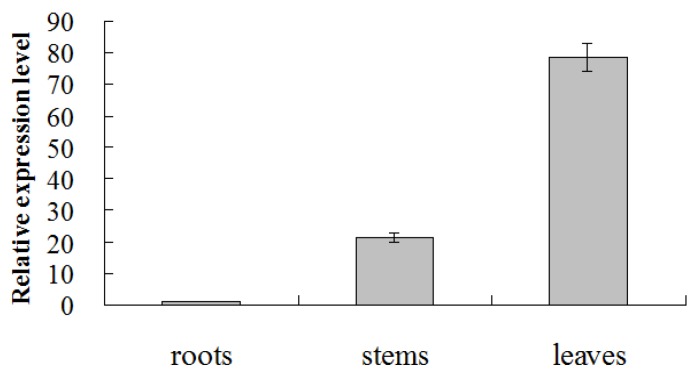 Figure 5