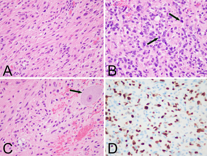 FIG. 2.