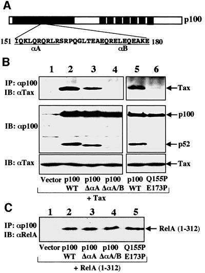 graphic file with name cde667f5.jpg