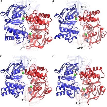 FIGURE 2