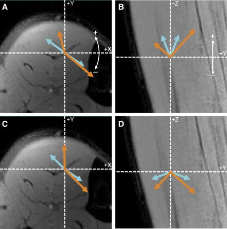 Fig. 8.