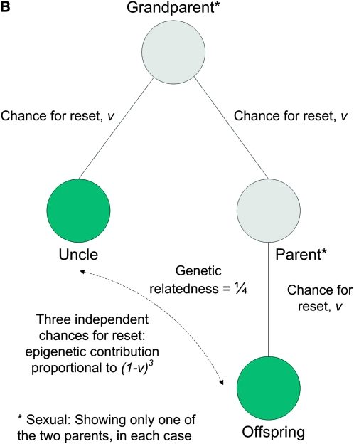 Figure 3.—