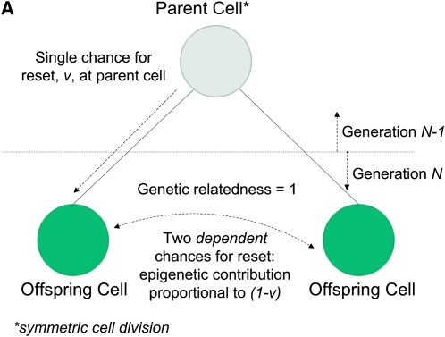 Figure 2.—