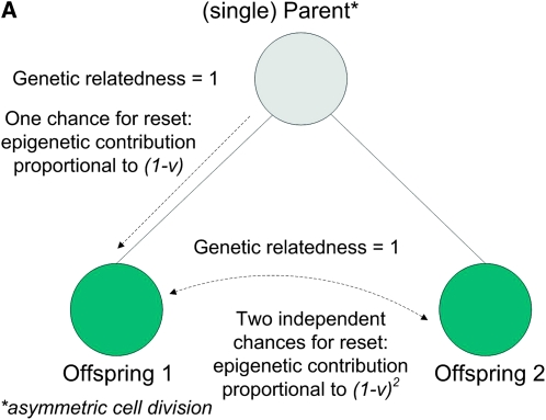 Figure 1.—