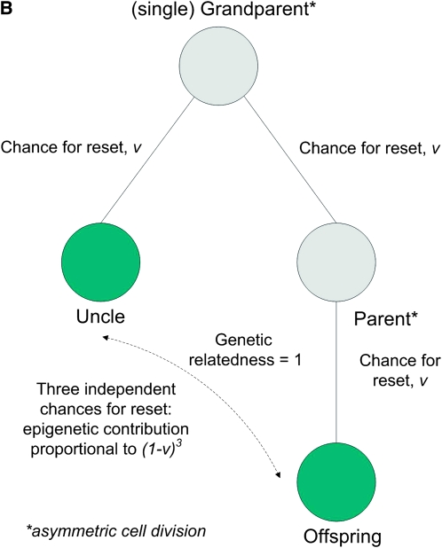 Figure 1.—