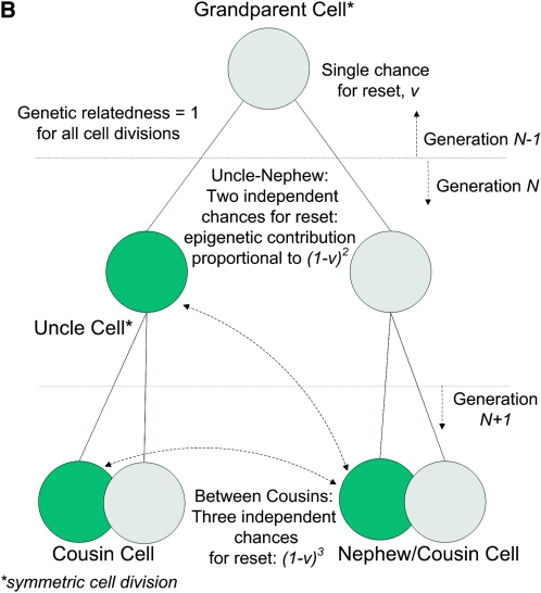 Figure 2.—