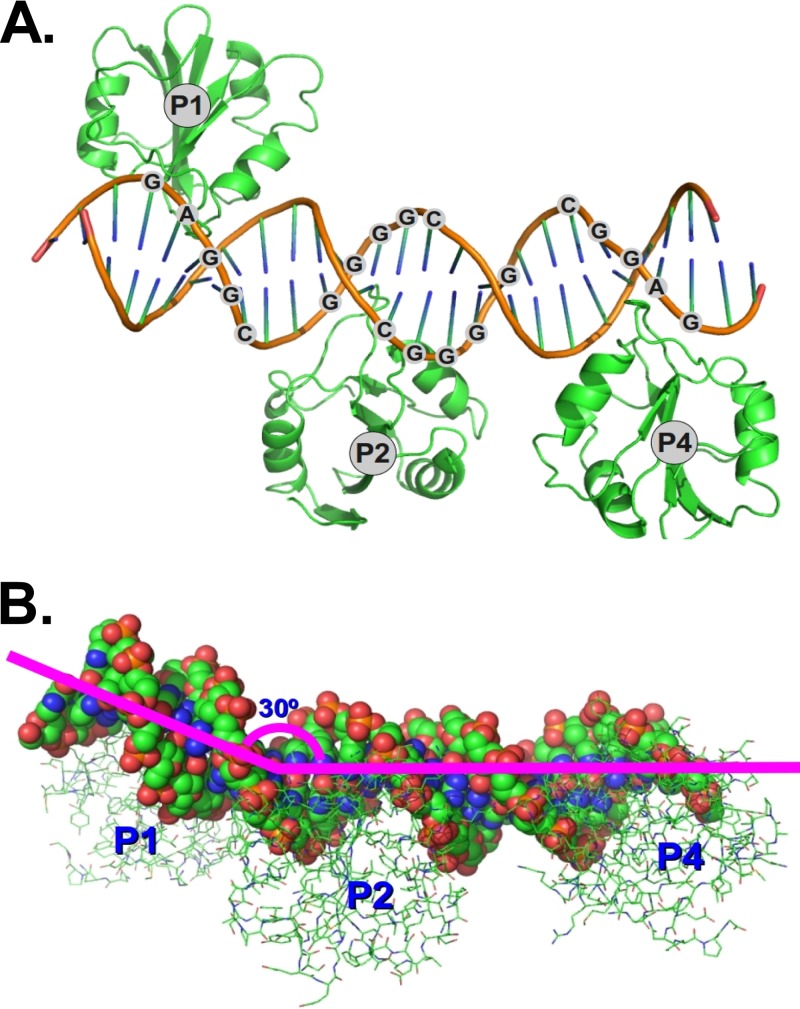 Fig 2