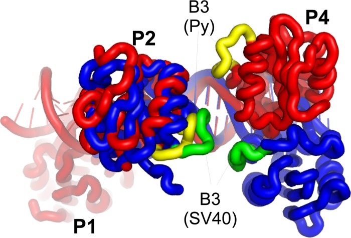 Fig 6