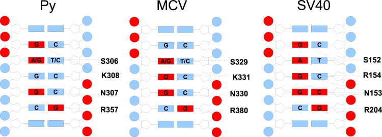 Fig 3