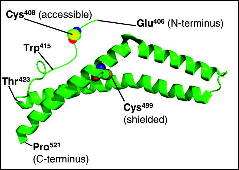 Fig. 6