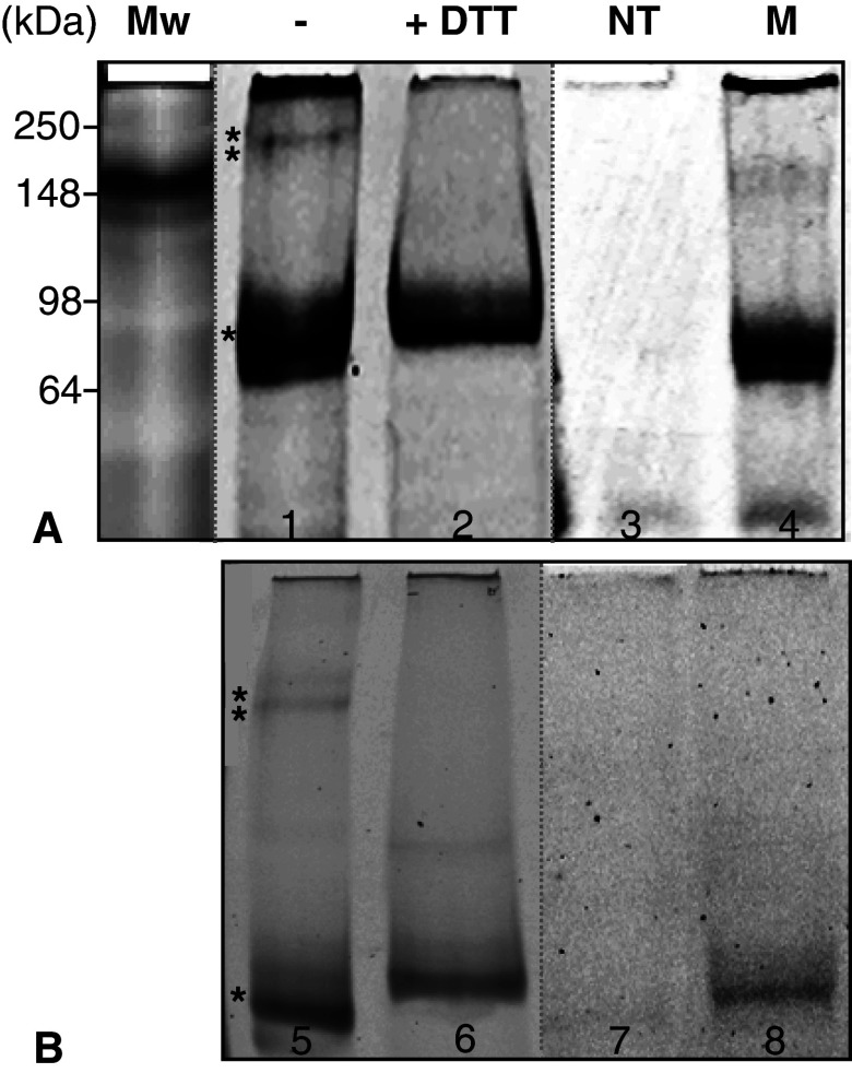 Fig. 5