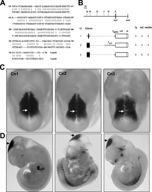 FIG. 1.