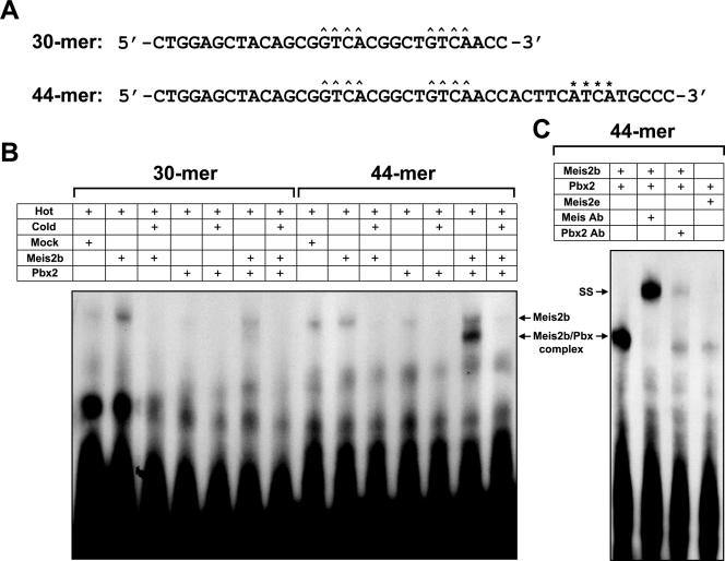 FIG. 8.