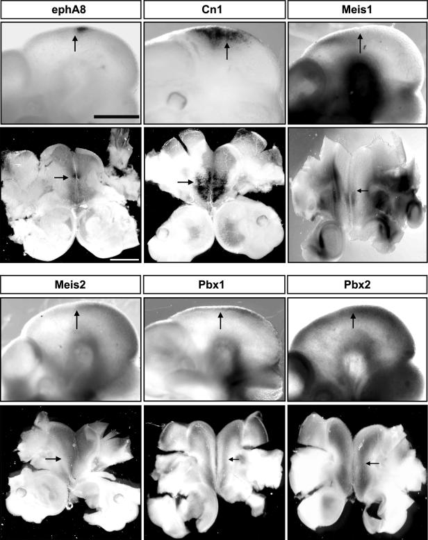 FIG. 5.