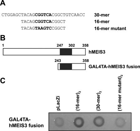 FIG. 4.