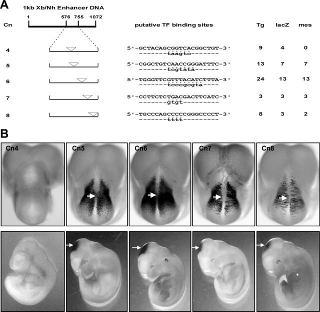 FIG. 2.