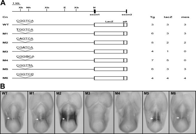 FIG. 3.