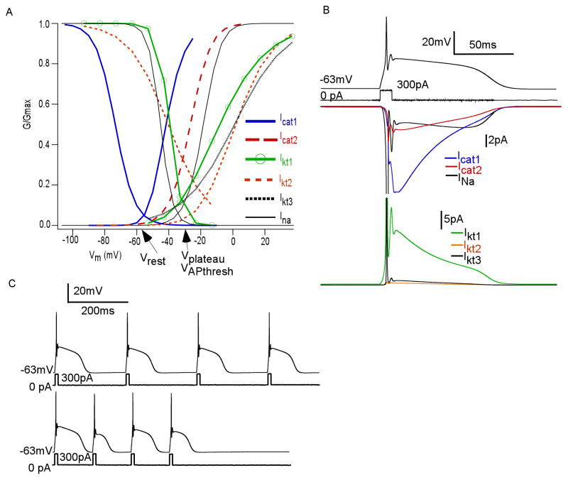 Figure 7