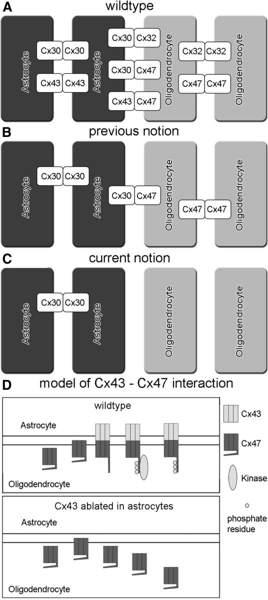 Figure 10.