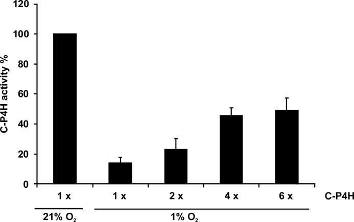 FIGURE 7.