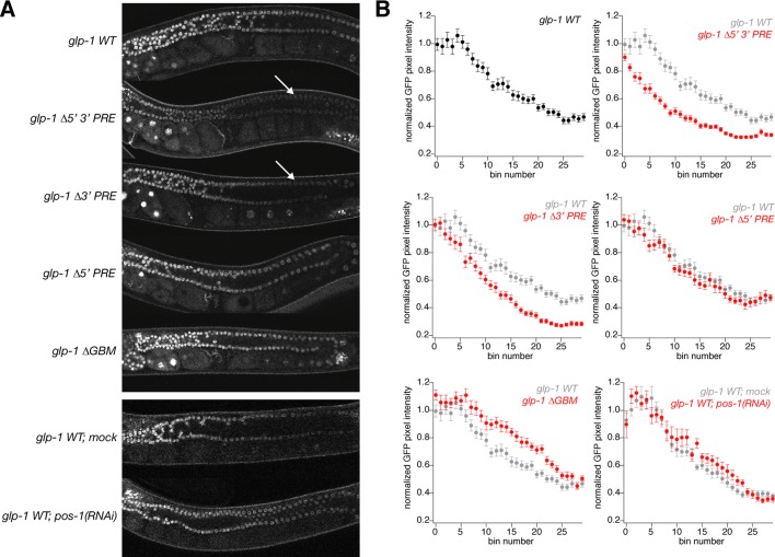 FIGURE 6: