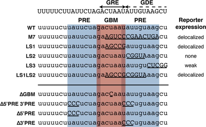 FIGURE 2: