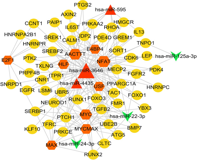 Figure 4.