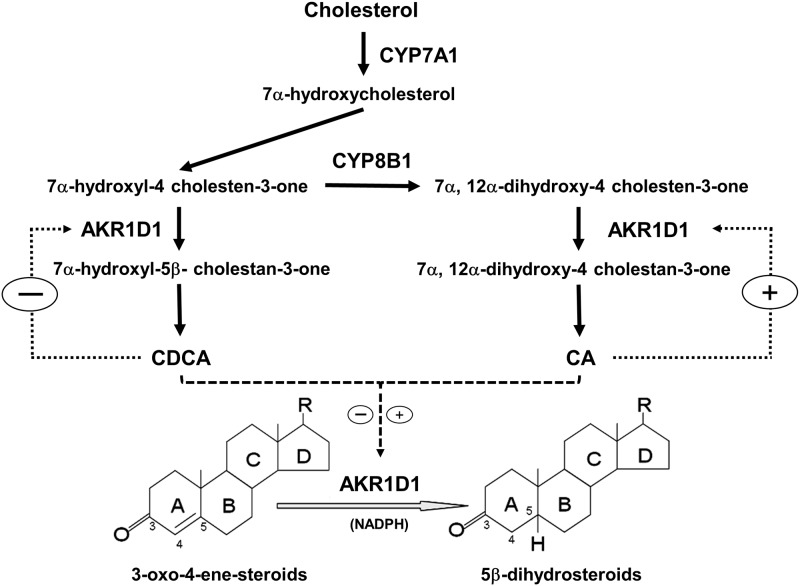 Fig 12